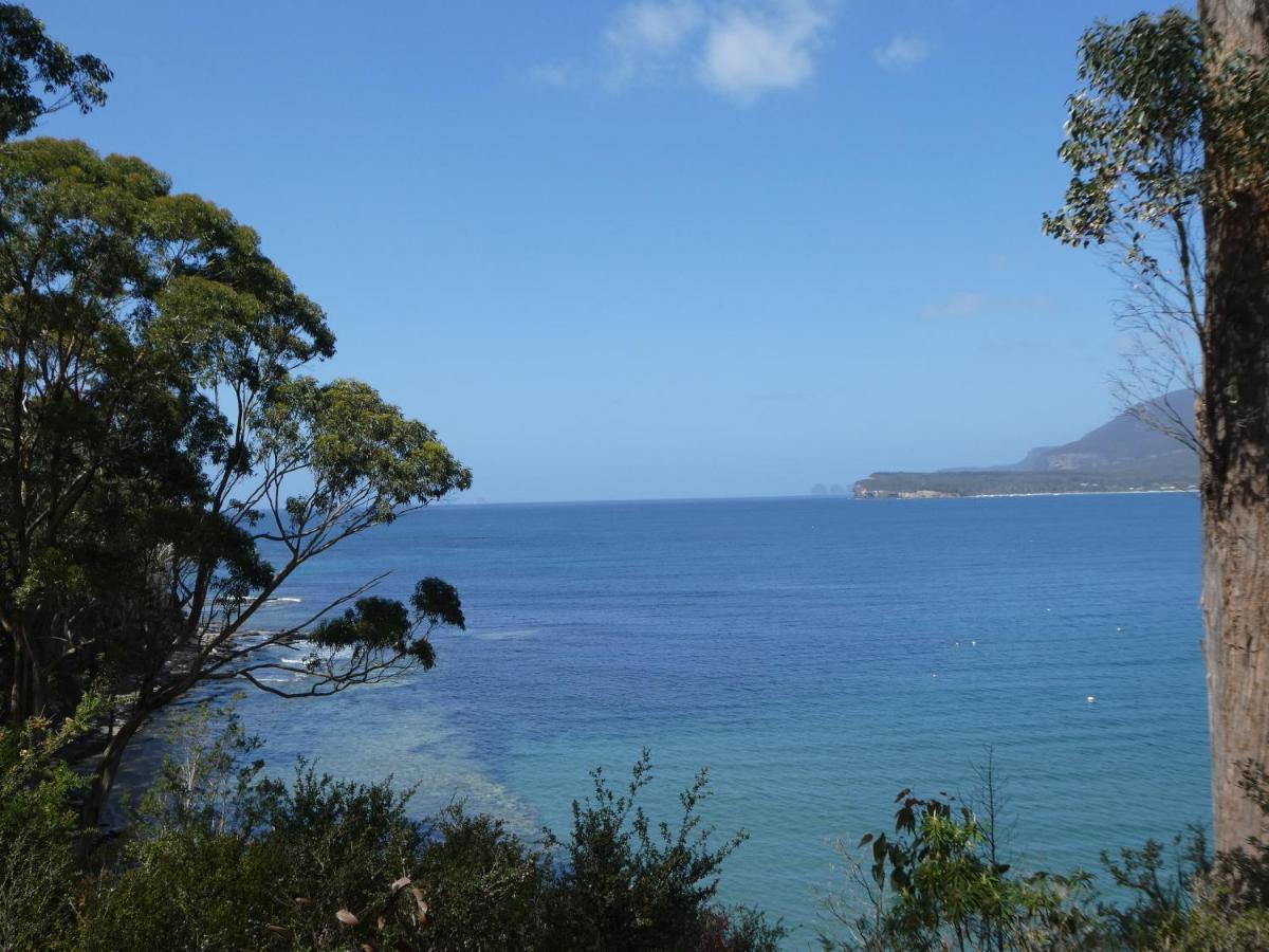 Osprey Lodge & Bungalow Eaglehawk Neck Luaran gambar