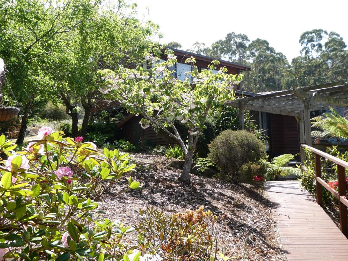 Osprey Lodge & Bungalow Eaglehawk Neck Luaran gambar